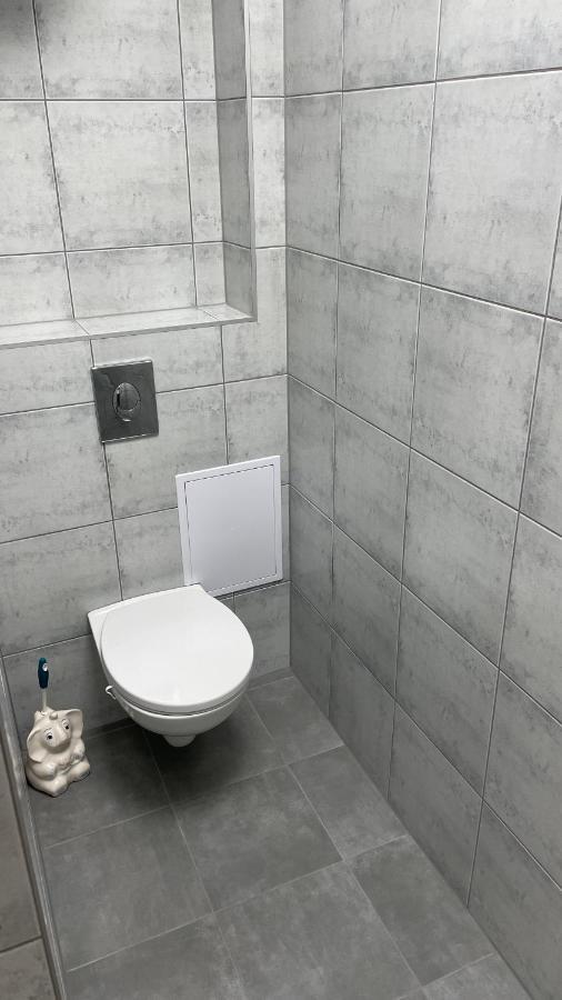 Simba Apartment B Smarjeske Toplice Luaran gambar
