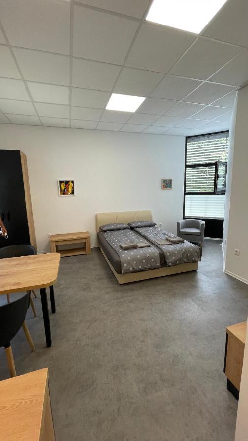 Simba Apartment B Smarjeske Toplice Luaran gambar